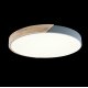 Потолочный светильник Loft IT AXEL 10004/36 Grey