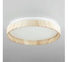 Потолочный светильник Citilux Enzo CL753352G