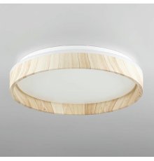 Потолочный светильник Citilux Enzo CL753352G