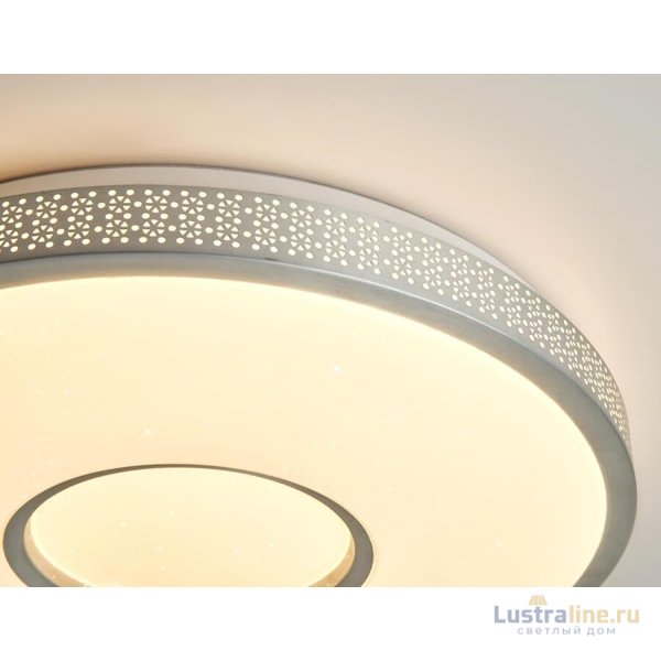 Потолочный светодиодный светильник Ambrella Light Original Design FF82