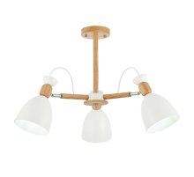 Потолочный светильник EVOLUCE BALCAMO SLE103802-03 Потолочный светильник EVOLUCE BALCAMO SLE103802-03