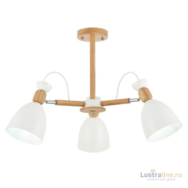 Потолочный светильник EVOLUCE BALCAMO SLE103802-03