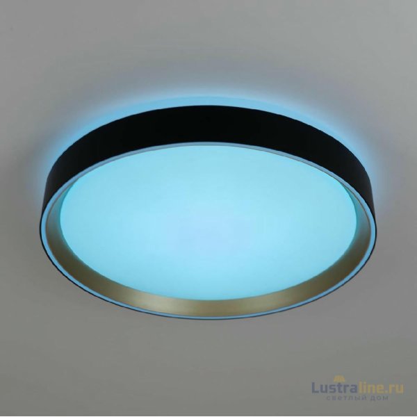 Потолочный светильник Citilux Boss CL751351G