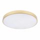 Потолочный светильник Loft IT Flims 10228/B