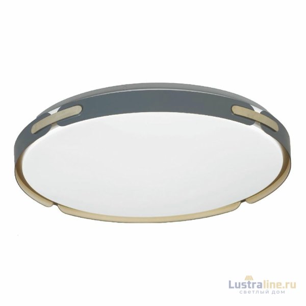 Потолочный светильник Lumina Deco Paneli LDC 8063-48W BL
