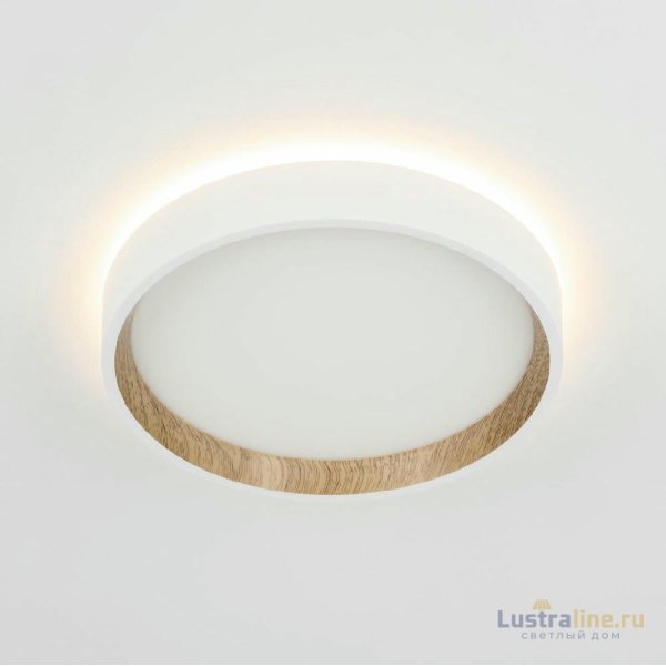 Потолочный светильник Citilux Etalon CL750180