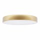 Потолочный светильник Loft IT Flims 10228/A