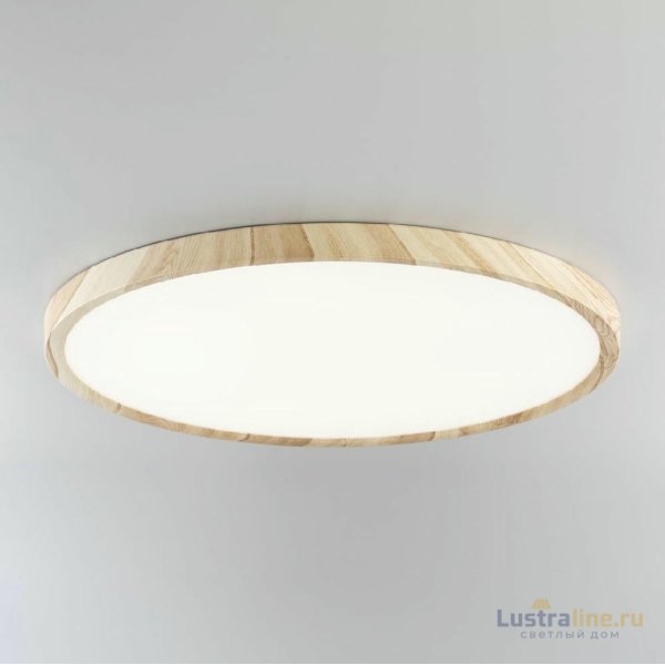 Потолочный светильник Citilux Бейсик CL738322V