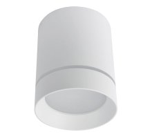 Потолочный светодиодный светильник Arte Lamp A1909PL-1WH