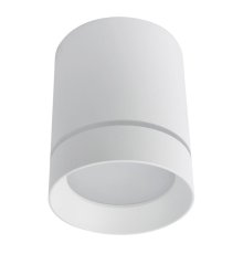 Потолочный светодиодный светильник Arte Lamp A1909PL-1WH