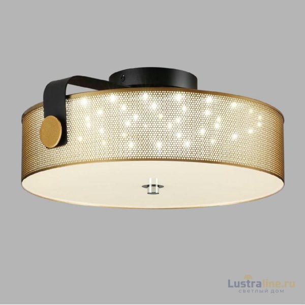 Потолочный светильник Lumion Drumy 6597/40L