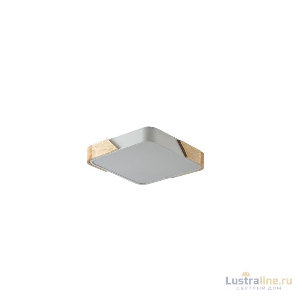 Потолочный светильник Zortes Alberro ZRS.01285.60