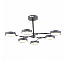 Потолочный светильник Evoluce Monta SLE6003-702-06