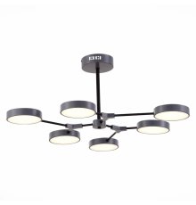 Потолочный светильник Evoluce Monta SLE6003-702-06