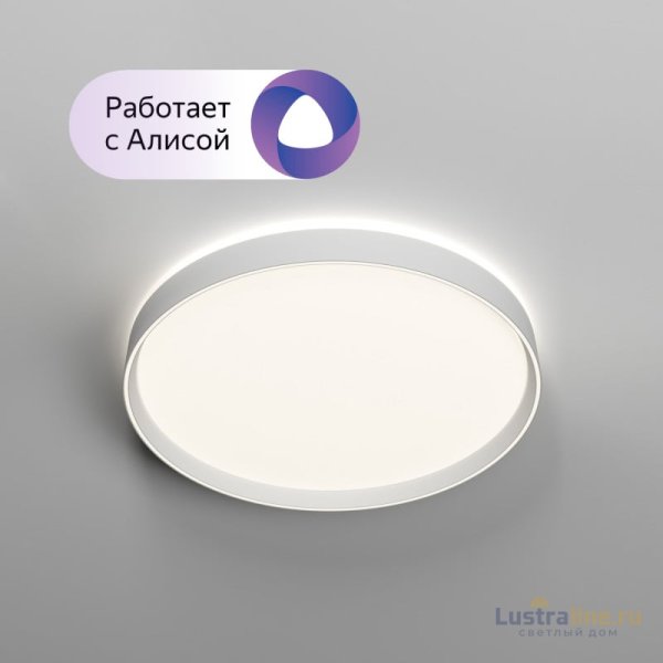 Потолочный светильник Denkirs Plato DK6511-WH Потолочный светильник Denkirs Plato DK6511-WH