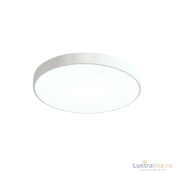 Потолочный светильник Zortes Tortty ZRS.02564.72