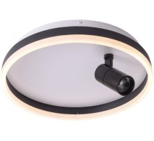 Потолочный светодиодный светильник Zortes Raizy ZRS.1888.03 Потолочный светодиодный светильник Zortes Raizy ZRS.1888.03