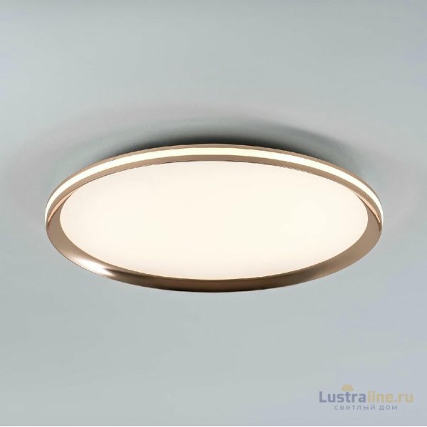Потолочный светильник LED4U L3020-500 GD Потолочный светильник LED4U L3020-500 GD