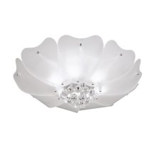 Потолочный светильник Lightstar Lobo 804020