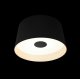 Потолочный светильник Loft IT Duo 10360S Black