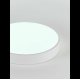 Потолочный светильник Natali Kovaltseva LED LAMPS 81112/5C