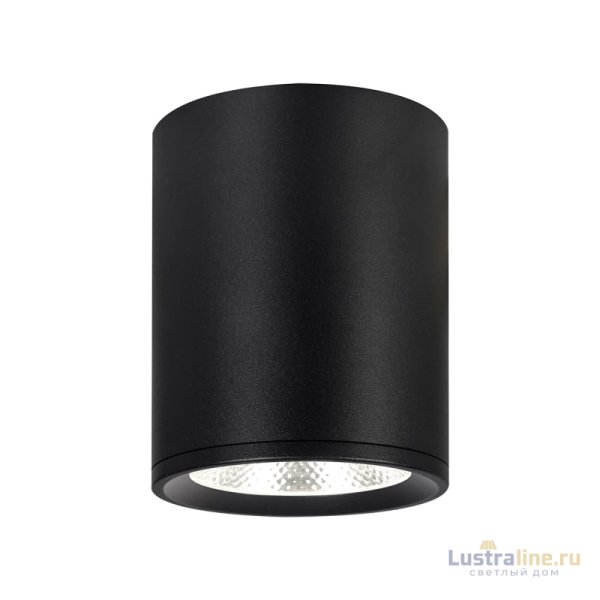 Потолочный светильник 20003 20003SMU/02LED SBK Потолочный светильник 20003 20003SMU/02LED SBK