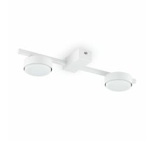 Потолочный светильник Freya Tactic FR5363CL-02W