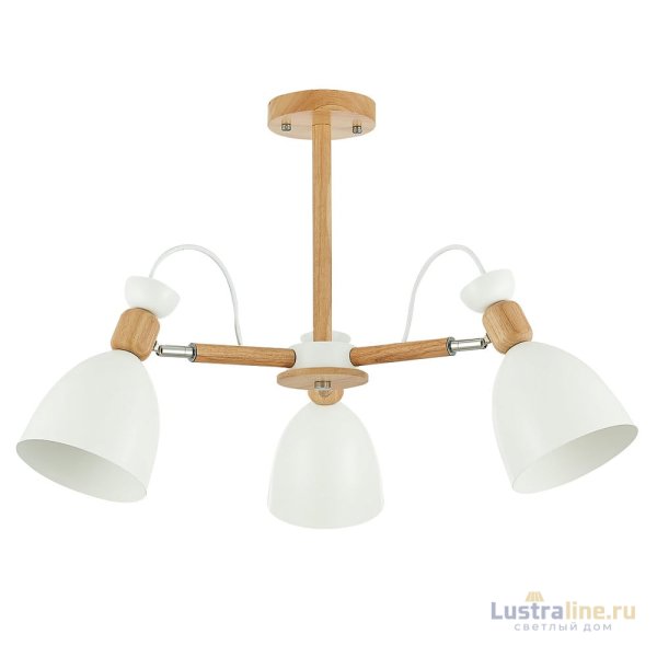 Потолочный светильник EVOLUCE BALCAMO SLE103802-03
