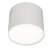Потолочный светильник 20004 20004SMU/01LED SWH