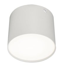 Потолочный светильник 20004 20004SMU/01LED SWH