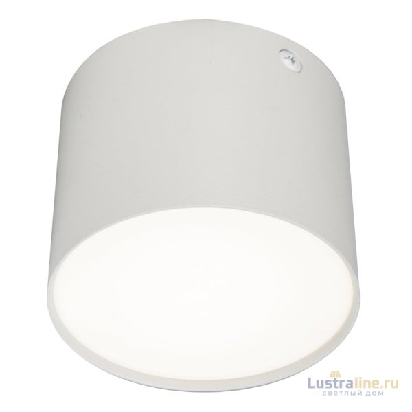 Потолочный светильник 20004 20004SMU/01LED SWH Потолочный светильник 20004 20004SMU/01LED SWH
