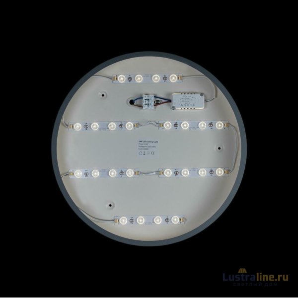 Потолочный светильник Loft IT AXEL 10003/24 Grey Потолочный светильник Loft IT AXEL 10003/24 Grey