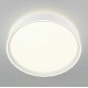 Потолочный светильник Citilux Boss CL751250G