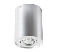 Потолочный светильник Arte Lamp A5644PL-1SI
