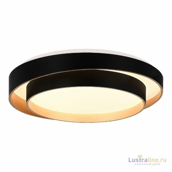 Потолочный светильник Evoluce Crosby SLE6009-402-01