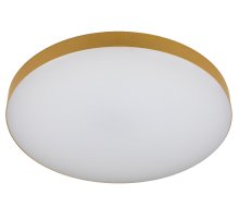 Потолочный светильник Эра Relict 48 Pult SPB-6-60-RC MG Б0059498
