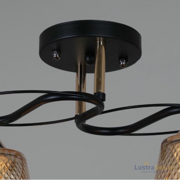 Потолочный светильник Reluce 06087-0.3-02 BK+FG