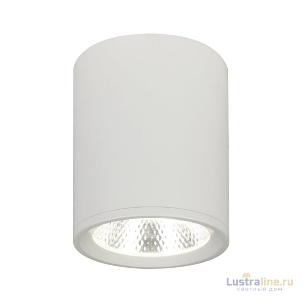 Потолочный светильник 20003 20003SMU/02LED SWH Потолочный светильник 20003 20003SMU/02LED SWH