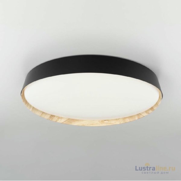 Потолочный светильник Citilux Bonny CL754451G