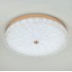 Потолочный светильник LED4U L1116-500 GD