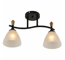Потолочный светильник Reluce 01589-3.3-02B BK+WOOD