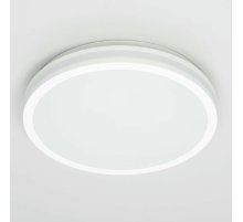 Потолочный светильник Citilux Luns CL711020V