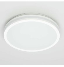 Потолочный светильник Citilux Luns CL711020V