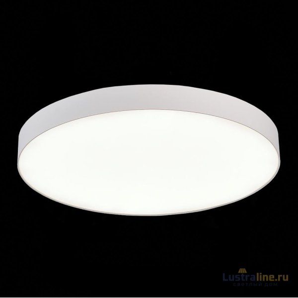 Потолочный светильник ST Luce ST606.542.96