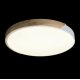 Потолочный светильник Loft IT AXEL 10004/36 White