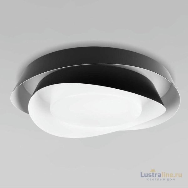 Потолочный светильник Loft IT Petale 10256 Black