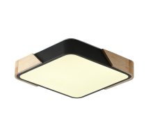 Потолочный светильник Zortes Alberro ZRS.01281.24 Потолочный светильник Zortes Alberro ZRS.01281.24