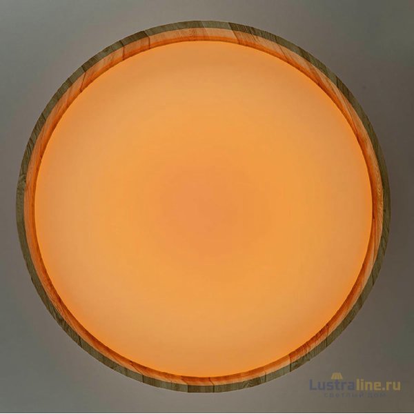 Потолочный светильник Citilux Enzo CL753452G Потолочный светильник Citilux Enzo CL753452G