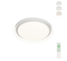 Потолочный светильник Denkirs Cany DK6516-WH