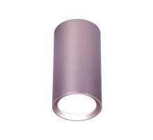 Потолочный светильник Ambrella Light Techno Spot TN220